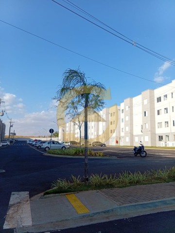 ALUGA - SE  APARTAMENTO RESERVA MACAÚBA
