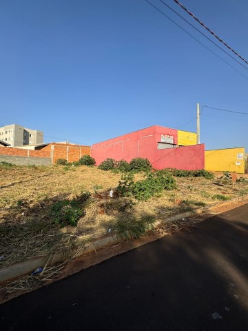 TERRENO - MACAÚBA